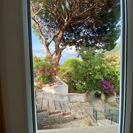 La Casa Dei Mandorli * Zanca
