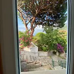 La Casa Dei Mandorli * Zanca