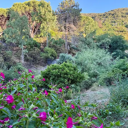 La Casa Dei Mandorli *