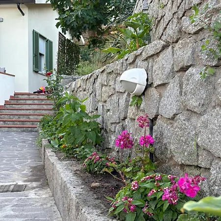 La Casa Dei Mandorli Zanca
